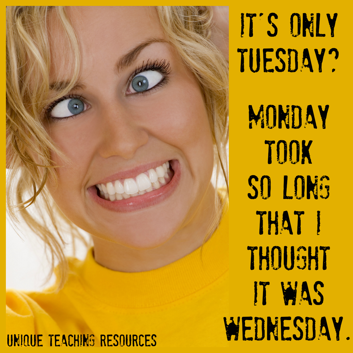 happy tuesday funny quotes